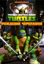 Постер к мультфильму «Черепашки-ниндзя (2012)»